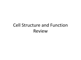 Cell Review PPT 2