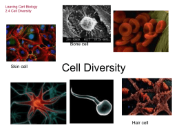 2.4 Cell Diversity - Science at St. Dominics