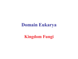 Domain Eukarya - University of Indianapolis