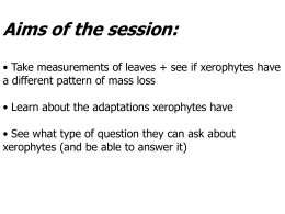 Xerophytes - PowerPoint Presentation
