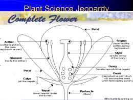 UBD Power Point – Environmental Science