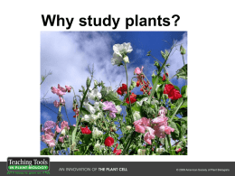 Why learn about plants?