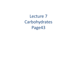 Lecture 6 part 2 Carbohydrates