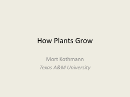 2 How Plants Grow