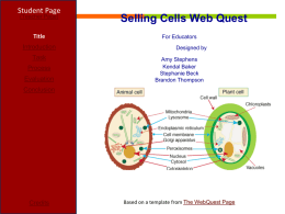 Selling Cells Web Quest