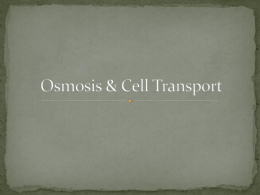 Osmosis & Cell Transport
