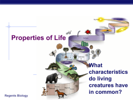 Properties of Life