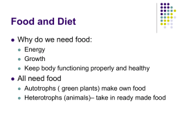 Food and Diet