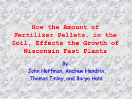 How the Amount of Fertilizer Pellets in the Soil Effect