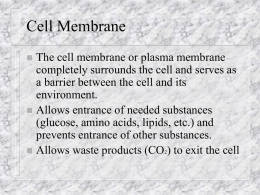 Transporting across the cell membrane