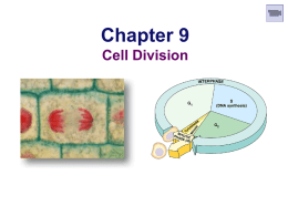 Lecture 026--Cell Division