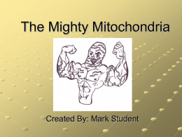 The Mighty Mitochondria