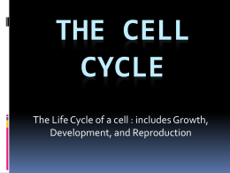 The Cell Cycle - 7th Grade Life Science
