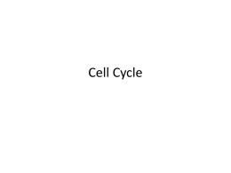 Cell Cycle - Dallas Independent School District