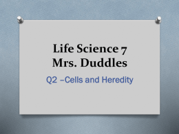 Life Science 7 - Mrs. Duddles' Classroom