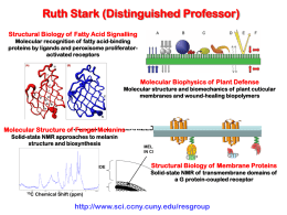Ruth Stark (Distinguished Professor)