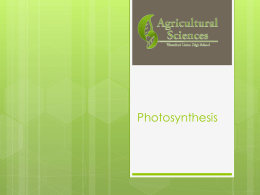 Photosynthesis - Schs Ag program