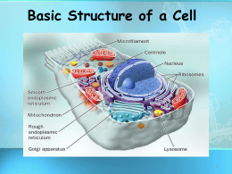 Basic Structure of a Cell - Moreno Valley High School