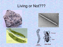 characteristics of living things PPT