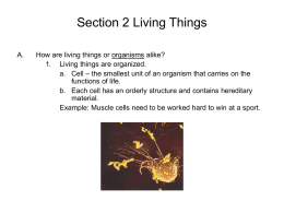 Section 2 Living Things