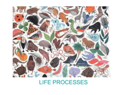 Life Processes/Life Functions