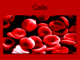 cell structures powerpoint