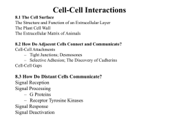 ch08_Cell-Cell Communication