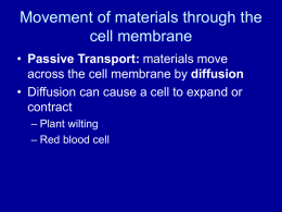 Movement of materials through the cell membrane