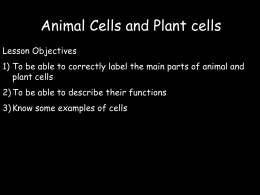 Cells - biologee