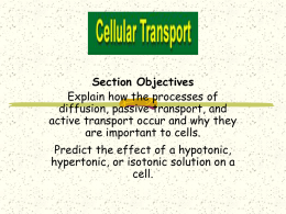 Cells in an isotonic solution