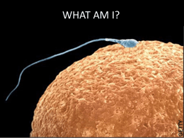 WHAT AM I (PPT 2MB)