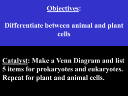 Cells - VA Biology SOL