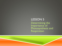 Unit C 4-5 Determining the Importance of Photosynthesis and