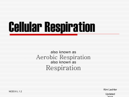 Cellular Respiration also known as Aerobic Respiration also known