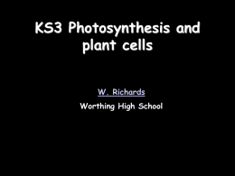 U11.5P1 Summary Photosynthesis
