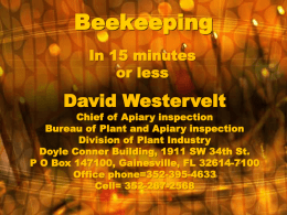 Beekeeping in 15 min or less
