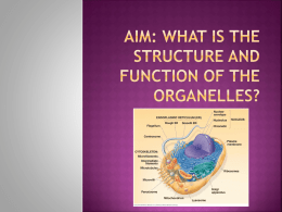 Cell Organelle packet - Hicksville Public Schools / Homepage