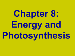 Photosynthesis ppt Honors