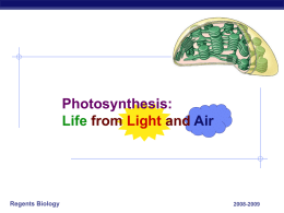 16photosynthesis2009..