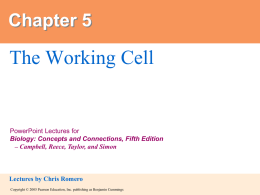 cell transport ppt