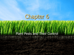 Chapter_6_powerpoint--Dual_Listed_Course