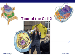 Cells functions - RMC Science Home