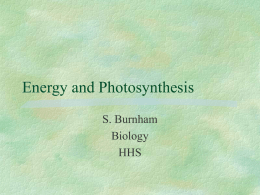 Energy and Photosynthesis - Fort Bend ISD / Homepage