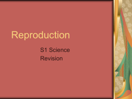 Revision powerpoint for S1 Reproduction topic