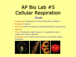 Lab #5 Rate of Cellular Respiration