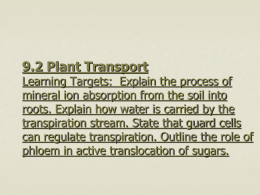 9.2 Plant Transport - Twanow