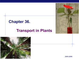 Ch_36 Transport in Plants