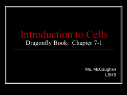 Introduction to Cells Dragonfly Book: Chapter 7-1