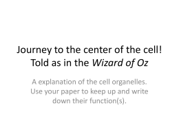 Journey to the center of the cell!