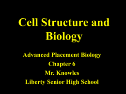 Cell Structure and Biology